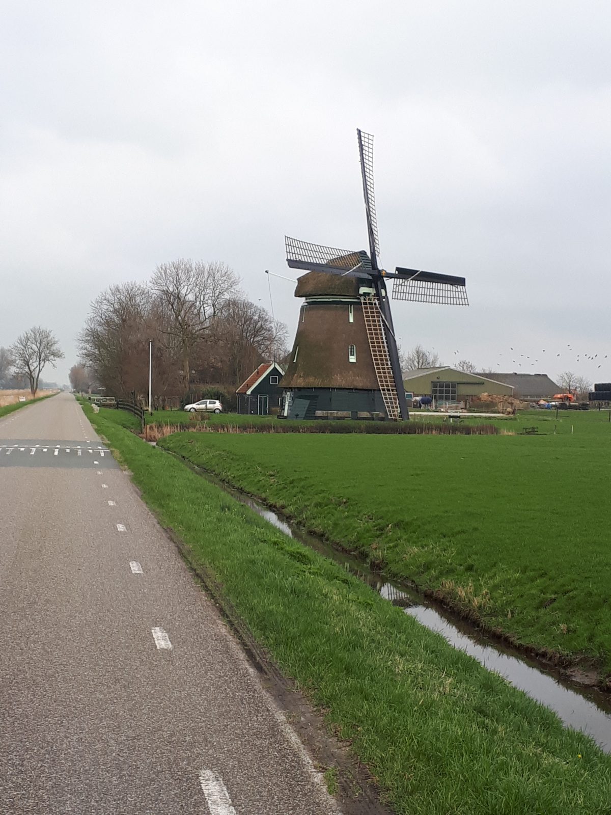 Molen D