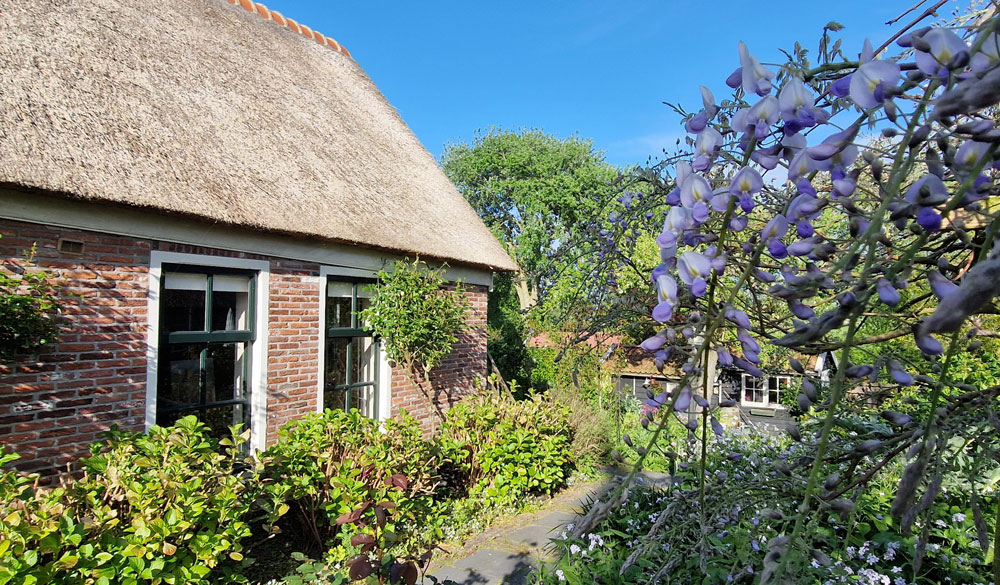 Tuin op terp